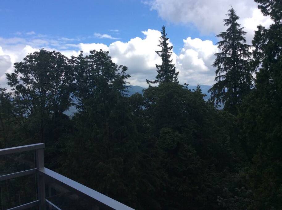 View from Private Balcony