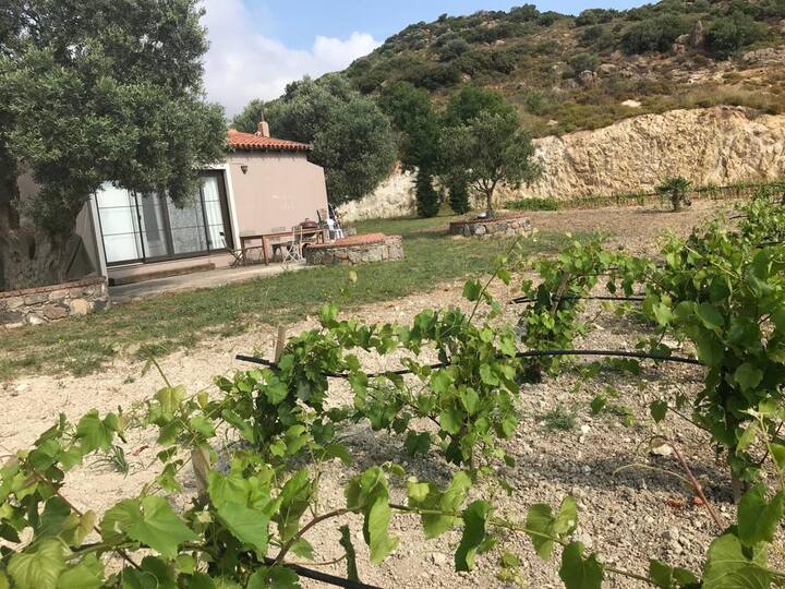 Limantepe Bağ Evi Urla şehrinde Kiralık Kır evleri, İzmir, Türkiye