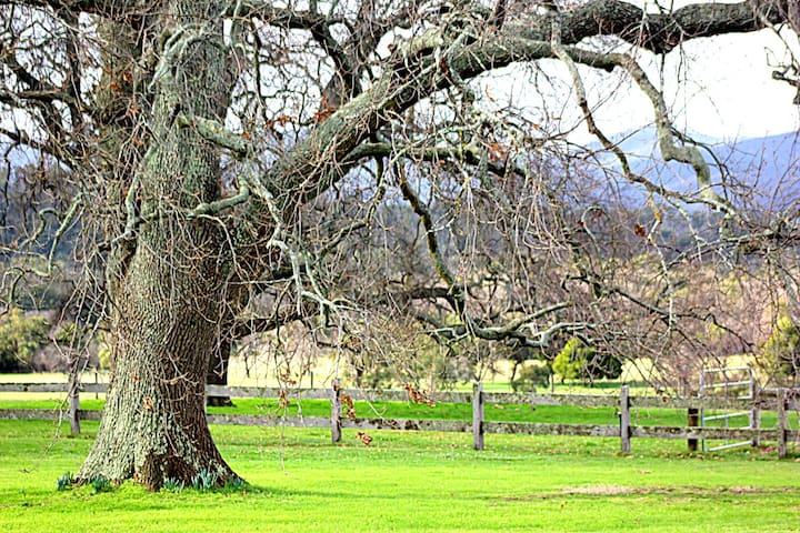 The Barn at Four Oaks Farm