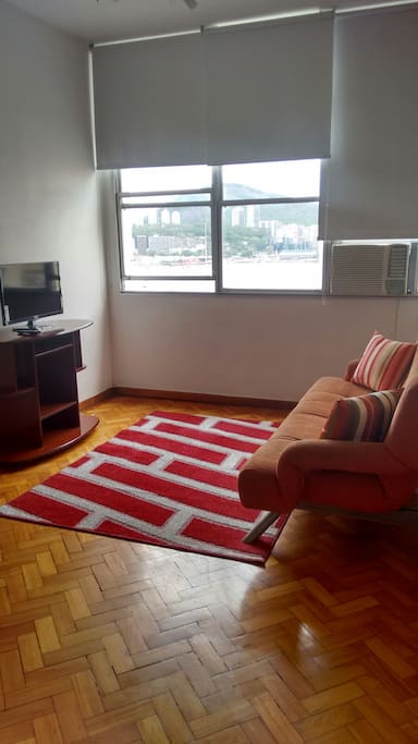 Living Room with Air Conditioner