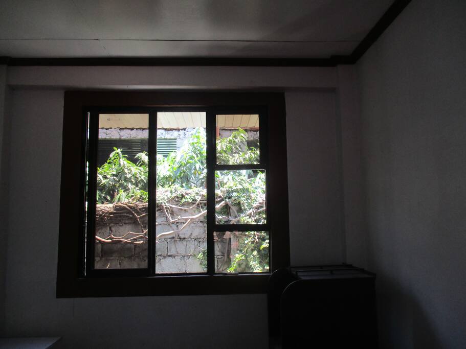 windows