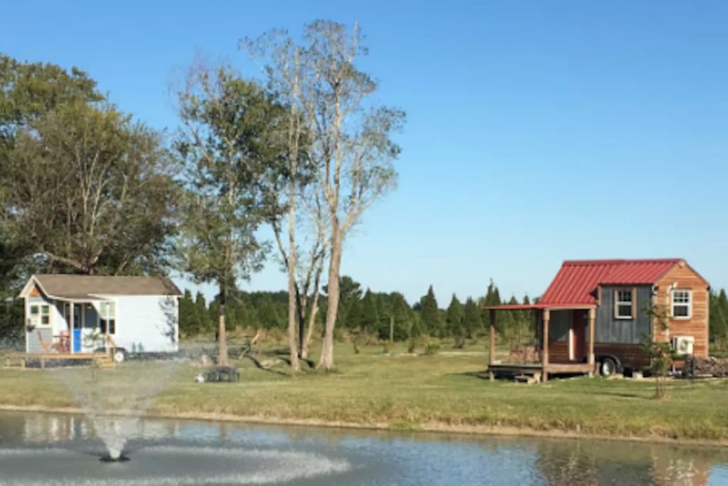 Lone Star (right) and Bluebonnet at Holiday Acres