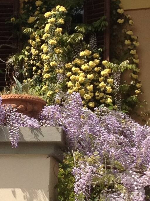 Our spring
