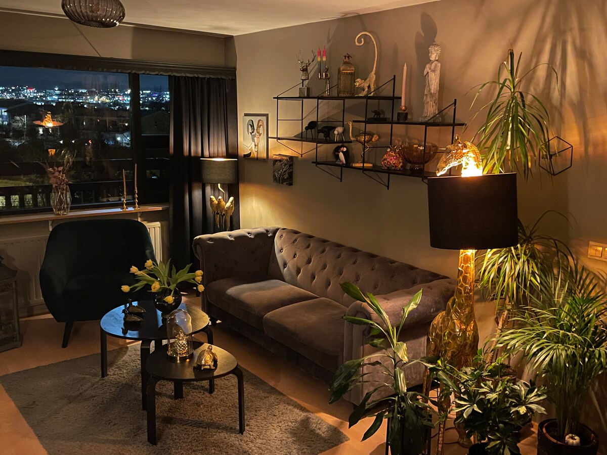 A living room is presented with a gray tufted sofa and a round black coffee table. Decorative items are displayed on an industrial-style shelf. A large window offers views of the city lights at night, while indoor plants add a touch of greenery to the space.