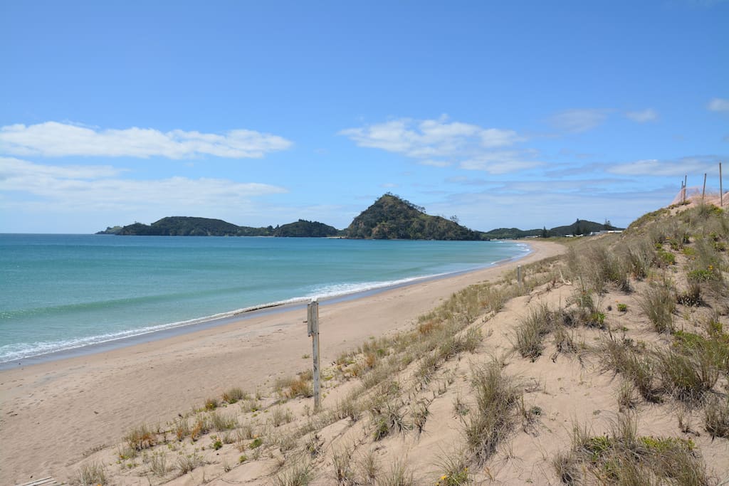 The beautiful Pataua North beach - just at the end of the garden.
