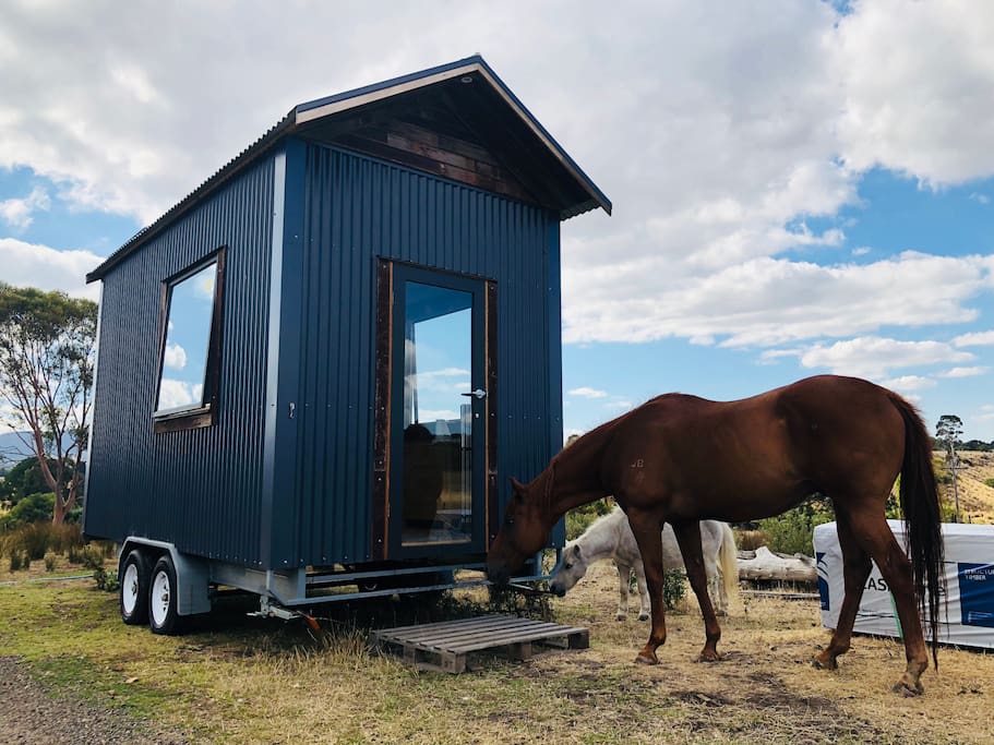 Big Tiny Hollyburton Tiny House
