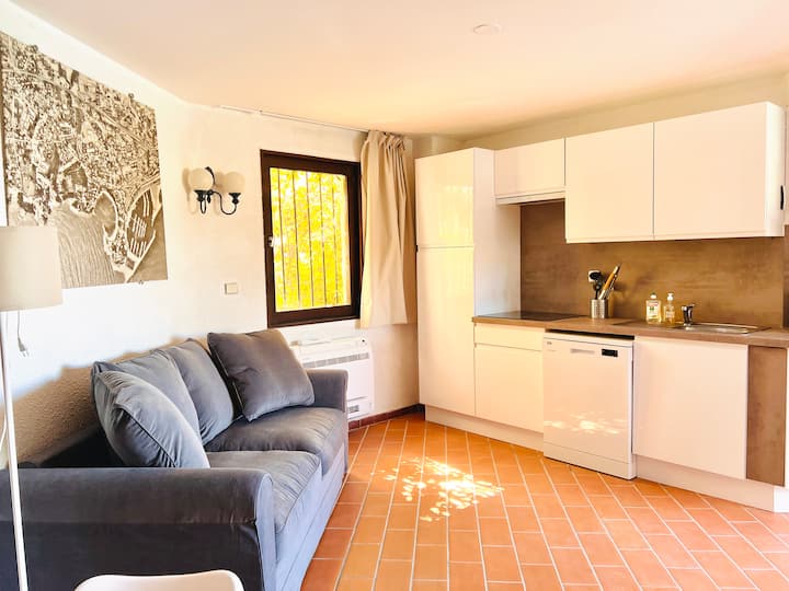 La pièce de vie avec le coin cuisine face à la mer 