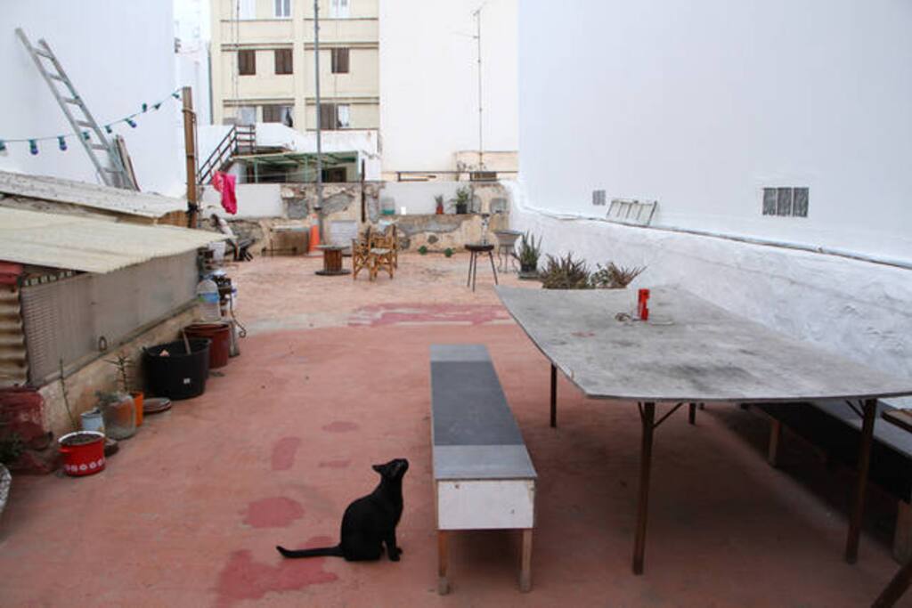 Terraza/ Rooftop