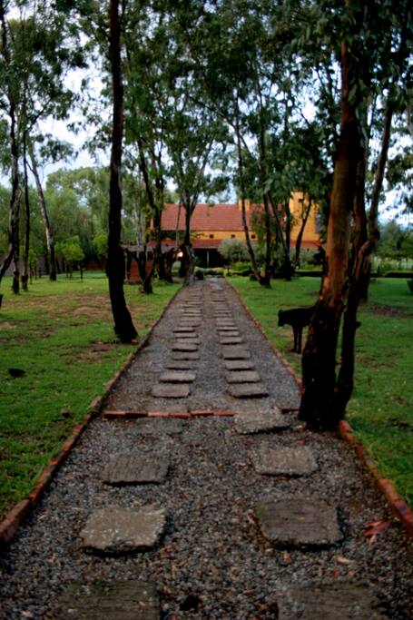 Walkway from Bag End to Hobbits Place.