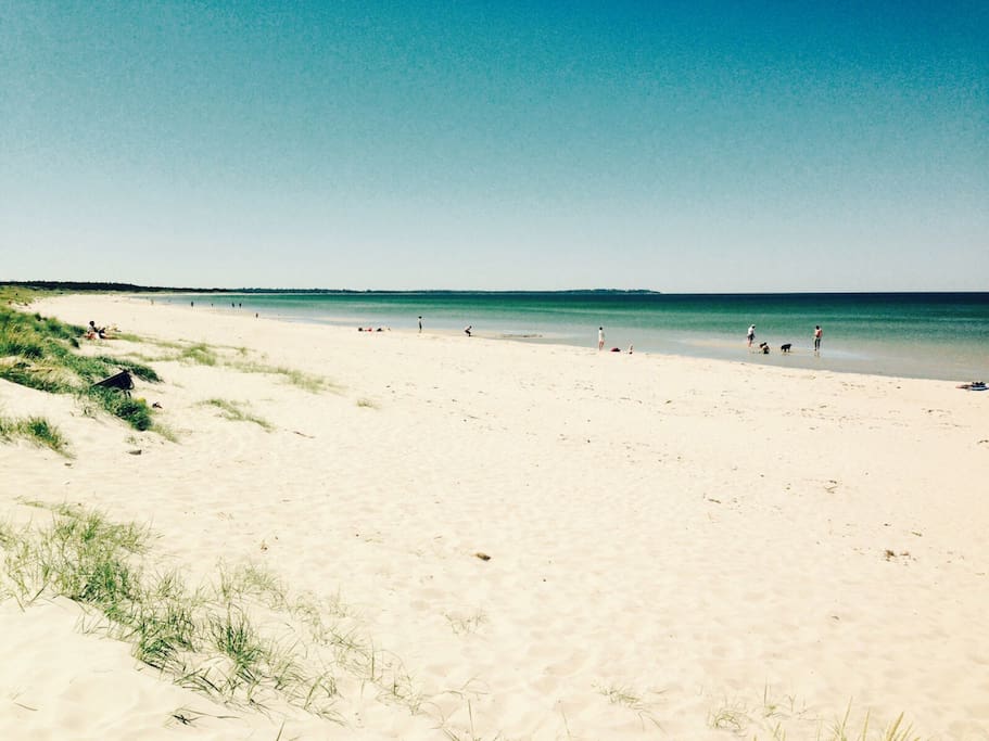 Beach