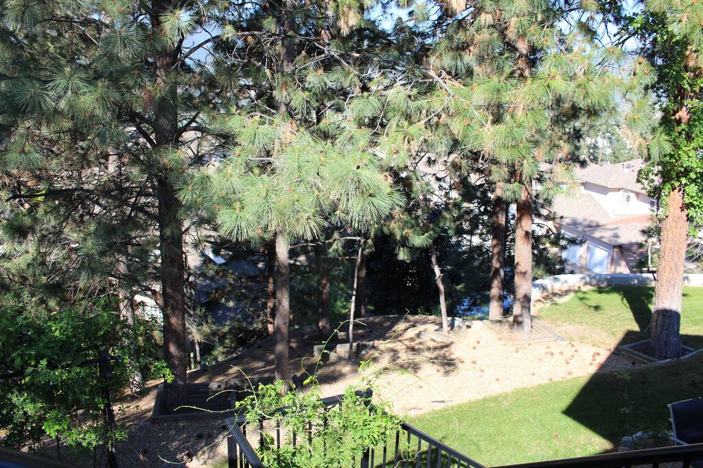 The view from the deck.