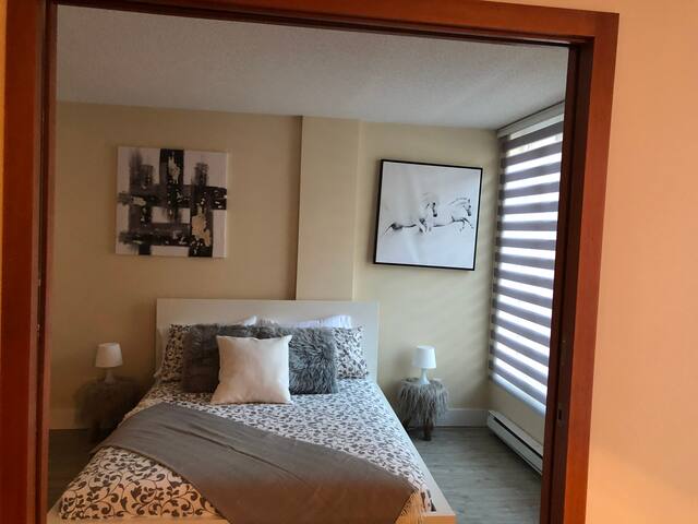 Luxury condo II Montreal downtown FREE Parking