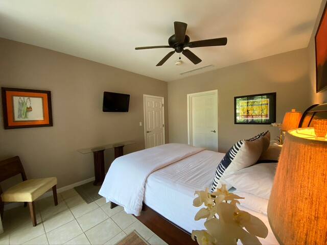 Pacífico Condo With An Enjoyable Coco Experience