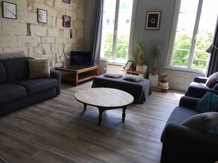 Beau Loft Classé 60 M2 Plein Sud, Face Aux Halles - Tours
