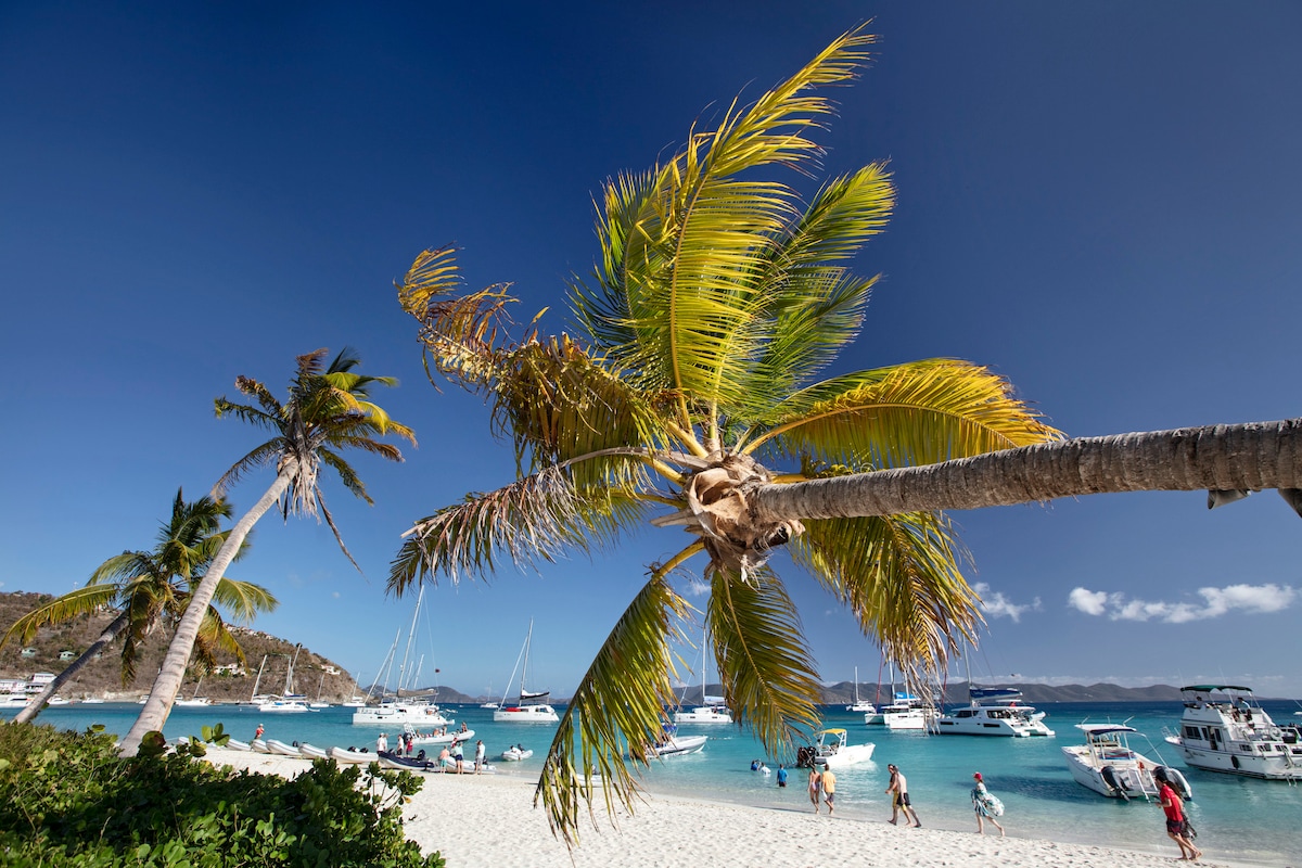 Tall palm trees sway gently over a sandy beach, with clear turquoise waters and anchored boats creating a serene coastal scene. Clouds drift in the blue sky, adding to the tranquil atmosphere enjoyed by visitors exploring the shoreline.