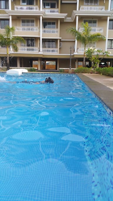 The pool