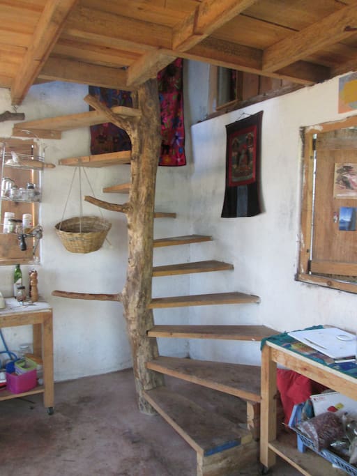 Tree trunk stairs