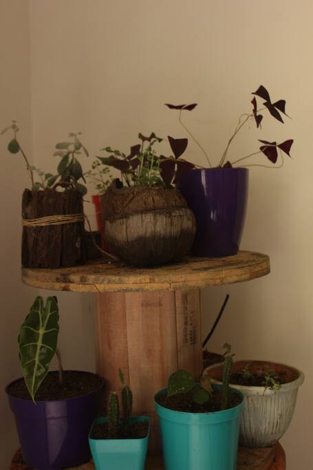 Jardín
