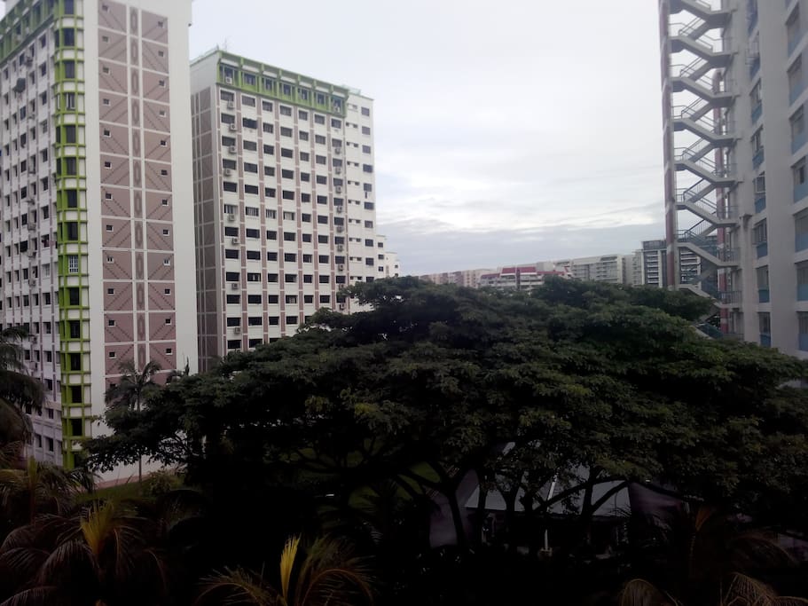 View from Bed Room