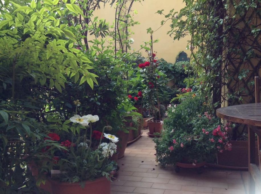 Il Terrazzo in primavera.
The Terrace in spring time.