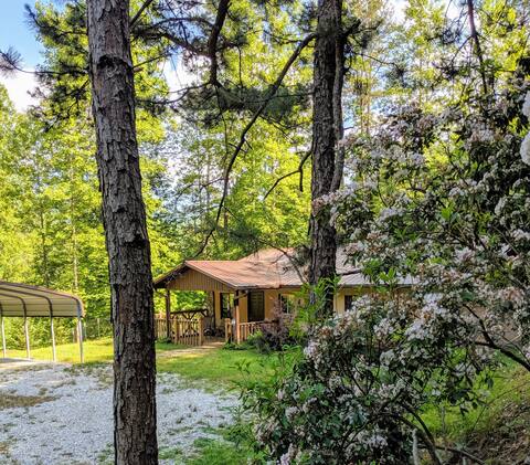 Woodridge Mountain Home on 50+ acres