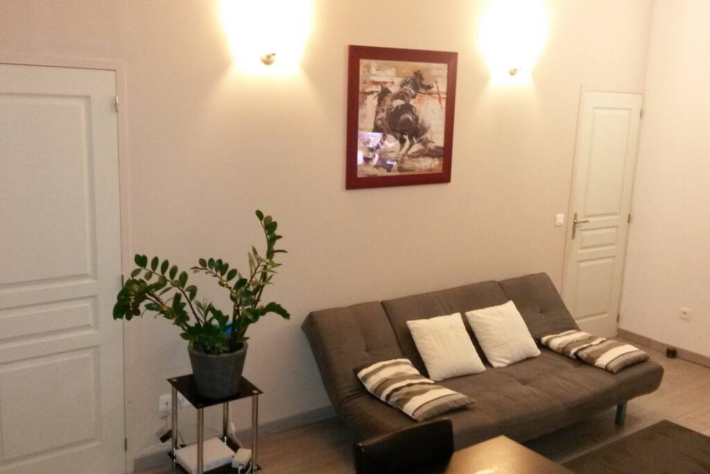 Appartement refait à neuf, bon éclairage, canapé clic clac, toilette séparé