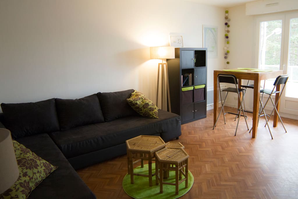 salon/séjour