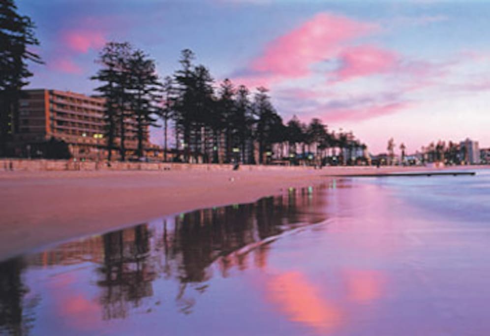 Executive apartment In the heart of Manly