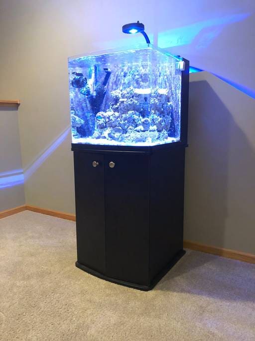 My husbands pride and joy, this custom saltwater aquarium does require some maintenance. (Feeding the fish, or testing water purity.) The aquarium is quiet and incredibly relaxing to watch.