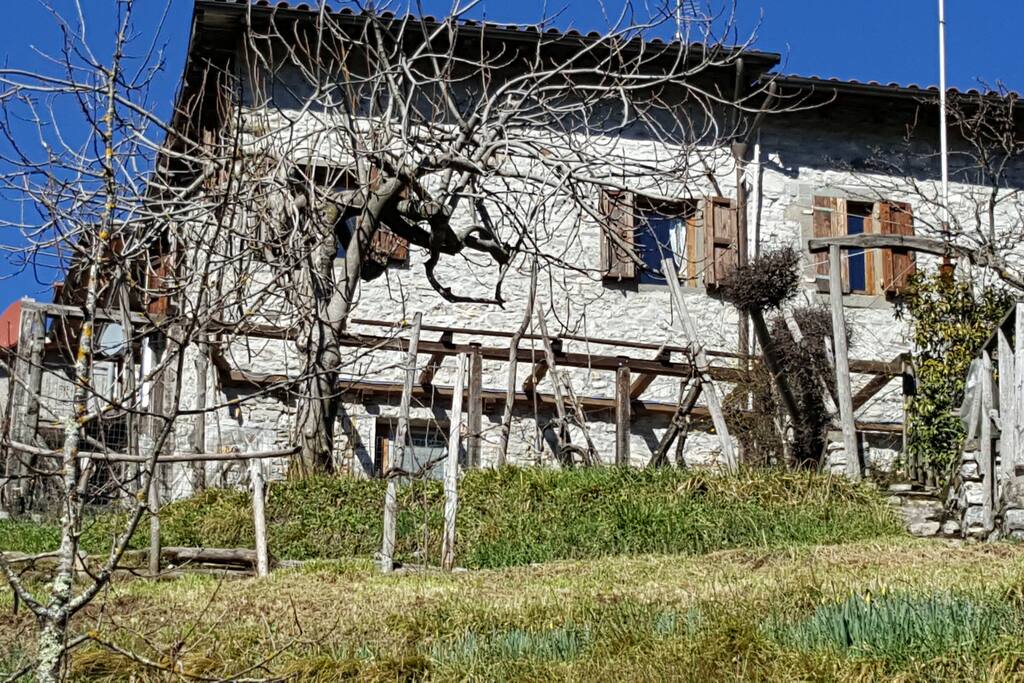 Casa a Corte (The house with a Courtyard)