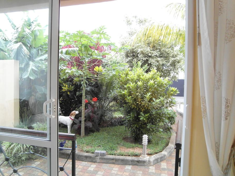 Garden area