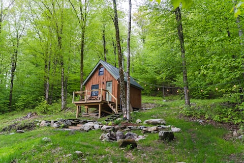 Tiny Vermont Cabin!