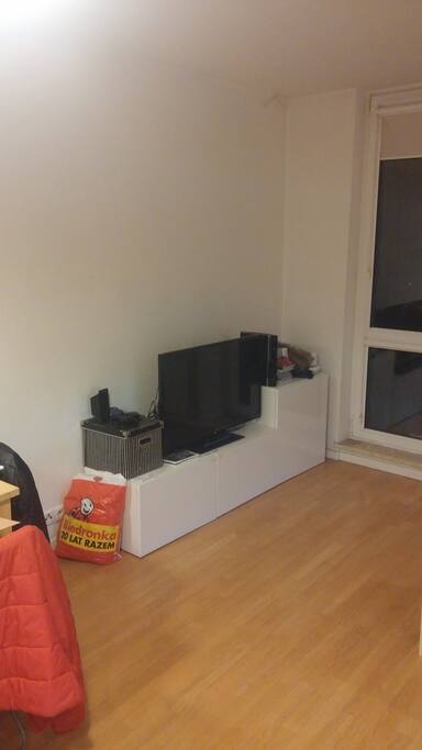 Playstation, nintendo wii and TV for guest