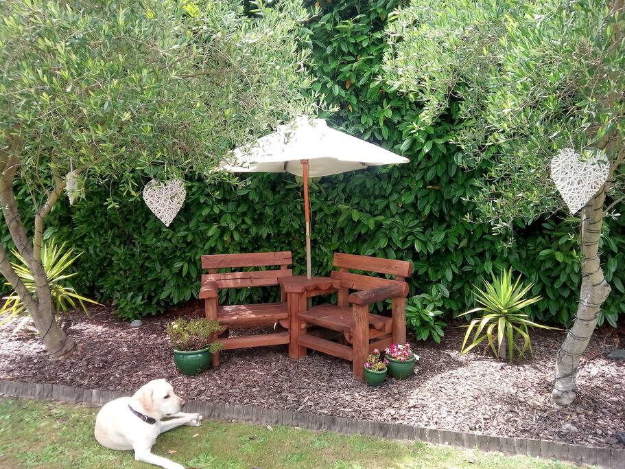 Relax in the shade