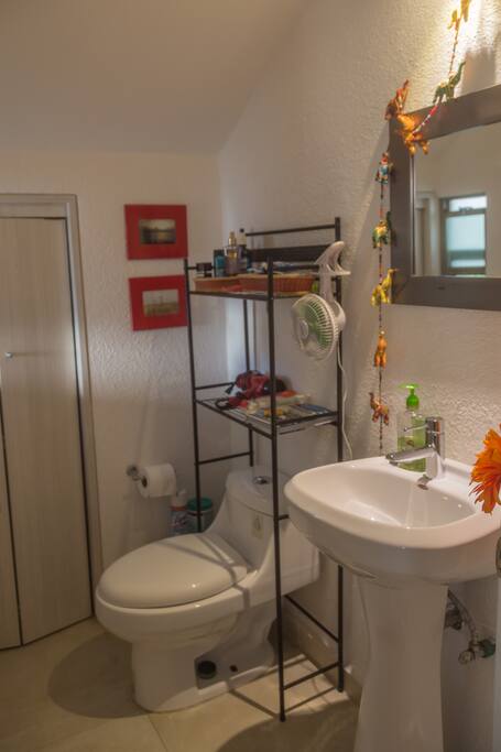 Medio Baño Planta Baja