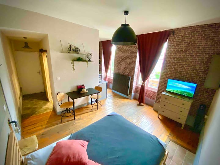 Industrial studio near downtown Apartments for Rent in Dijon