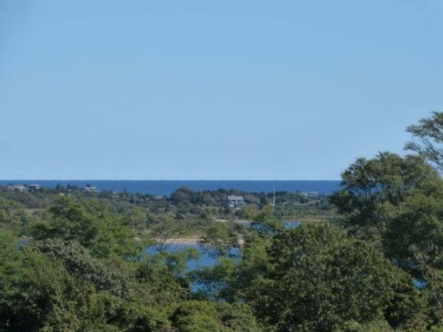 View from house