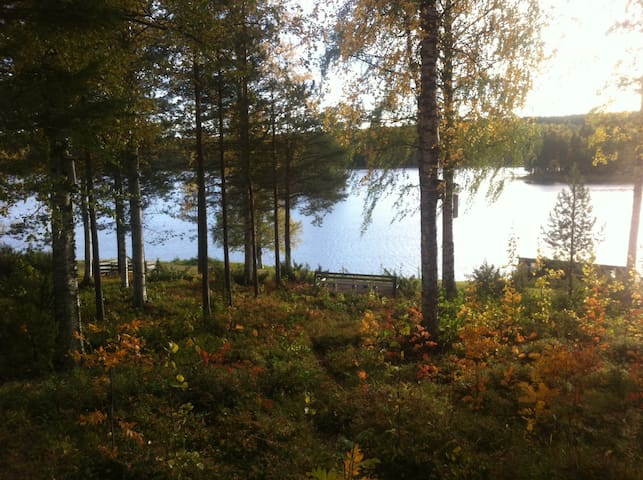 Room in a house by the lake