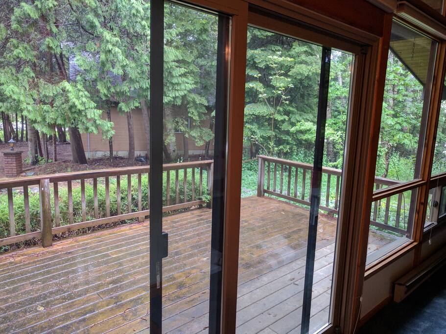 View from inside looking out