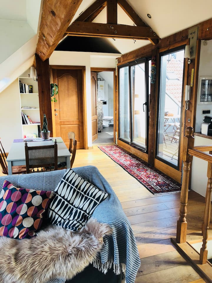 Penthouse in Parvis de St Pierre