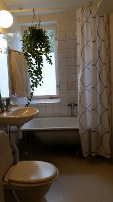 The bathroom