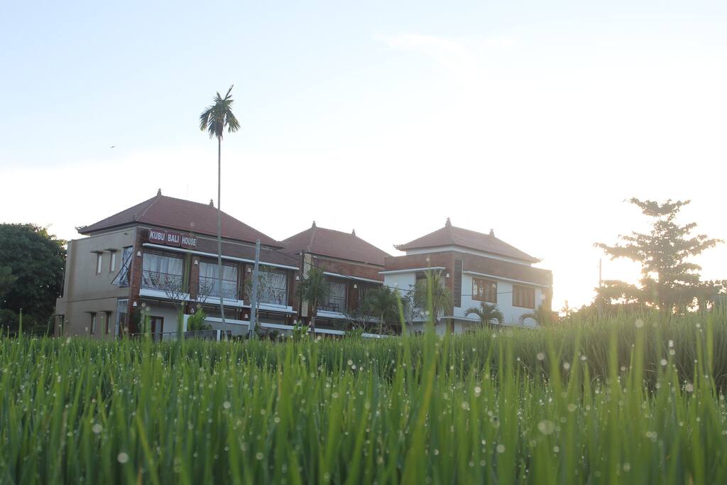 sunrise in rice field view