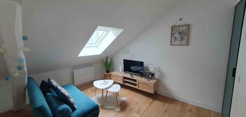 Popular Airbnb listing: "Lou" apartment, hyper-central in the heart of Troyes in Troyes