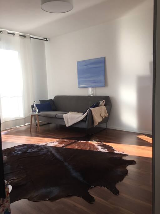 gemütliche, moderne Couch (Bild wird noch angebracht;) )