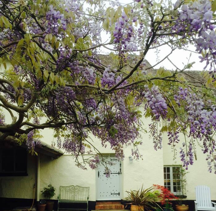 We offer you the experienceof staying in a large village home, mid-Devon style of historical interest. Our property is also for sale so this could be a chance to stay in the house before you buy!