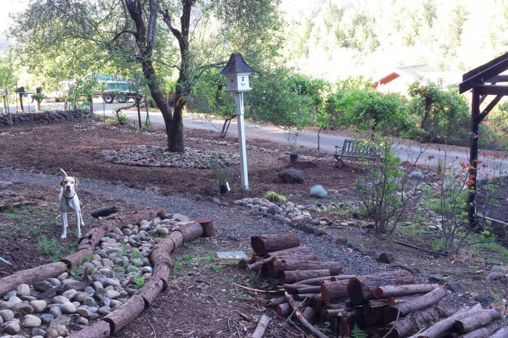 Spacious Yard