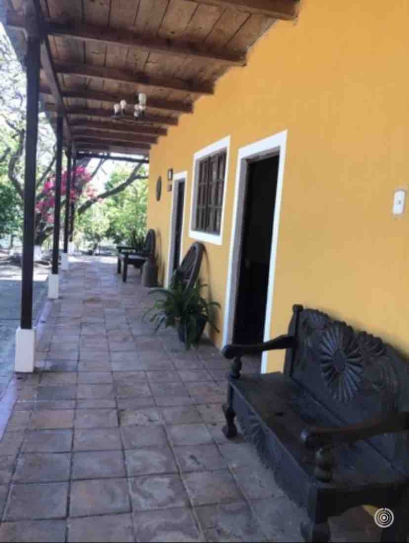 A sunny porch area is lined with terracotta tiles, featuring wooden benches against a vibrant yellow wall. A chandelier hangs from the wooden ceiling, while plants are placed along the side, creating a relaxed outdoor space that connects to the surrounding greenery.
