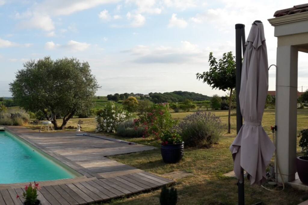 vue panoramique sur les vignobles alentours depuis la piscine