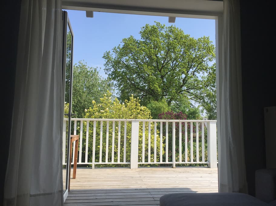 view from living room