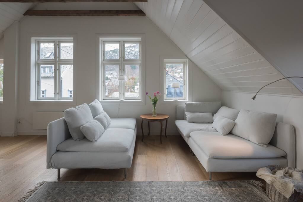 The two couches can be used as beds.